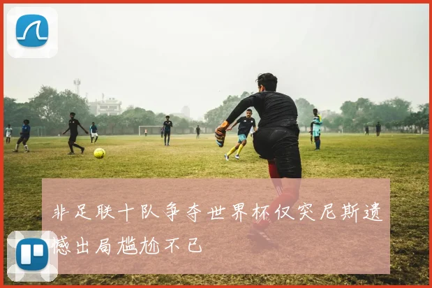 非足联十队争夺世界杯仅突尼斯遗憾出局尴尬不已