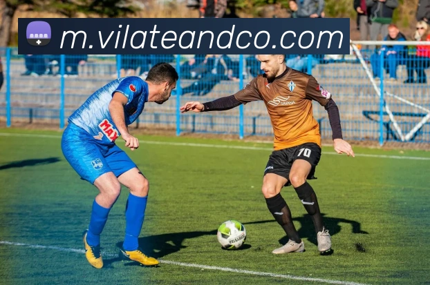 hth登录APP 体育赛事宣传图